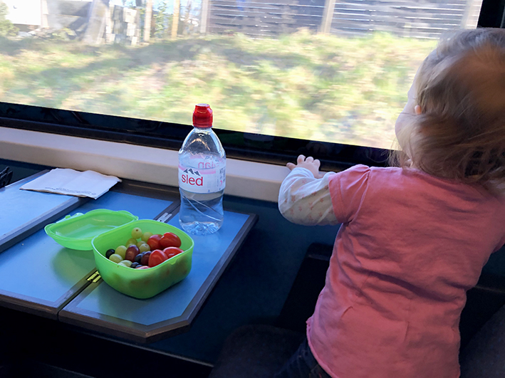 Zugfahren_mit_Kids11